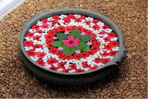 Water Rangoli, Floating Rangoli, Rangoli Flower, Flowers Rangoli, Flower Kolam, Floating Flower, Diwali Decorations At Home, Flower Arrangement Designs, Diy Diwali Decorations