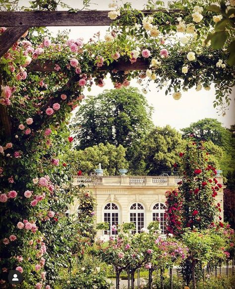 Fleur Aesthetic, My French Country Home, European Garden, Famous Gardens, European Antiques, Visit Paris, Paris City, Arched Windows, Classical Architecture