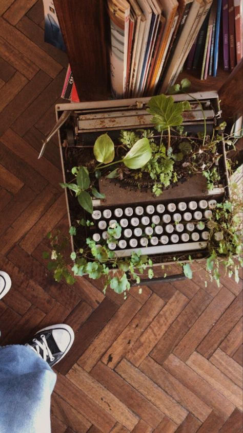 Book Garden Aesthetic, Plant Growing Aesthetic, Plant Academia Aesthetic, Gabrielacore Aesthetic, Plant Dad Aesthetic, Tighnari Aesthetic, Bookstore Branding, Growing Aesthetic, Brandon Core