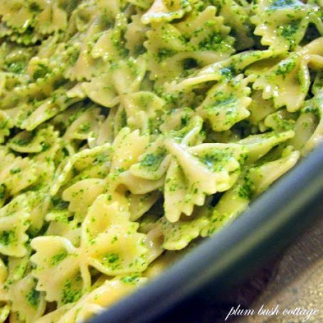 Bow Tie Pasta with Basil Pesto Homemade Pasta Sauce Recipe, Spinach Pesto Pasta, Summer Pasta Dishes, Summer Pasta Recipes, Bow Tie Pasta, Basil Pesto Recipes, Spinach Pesto, Favorite Pasta Recipes, Pasta Al Pesto