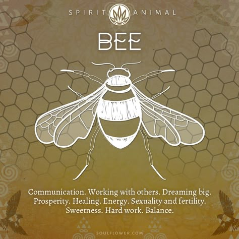 Bee Spirit Animal, Bee Symbolism, Animal Meeting, Turtle Spirit Animal, Animal Totem Spirit Guides, Find Your Spirit Animal, Spirit Animal Meaning, Animal Meanings, Spirit Animal Totem