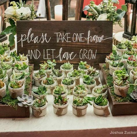 Sustainable Wedding Trends For 2023 Dress Trends 2023, Spring Engagement Party, Ethical Wedding Dress, Plant Wedding Favors, Succulent Theme, Wedding Plants, Succulent Wedding Favors, Bridal Shower Inspo, Let Love Grow