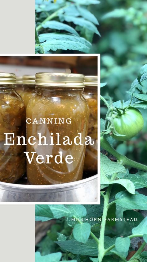 Green Tomatoes | Canning Enchilada Verde - Millhorn Farmstead Green Tomatoes Canning, Canning Enchilada Sauce, Green Tomato Enchilada Sauce, Enchilada Sauce Recipes, Tomato Enchilada Sauce, Enchilada Verde, Canning Green Tomatoes, Enchiladas Verdes Recipe, Green Tomato Salsa