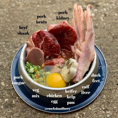 Raw Dog Food Raw Meat Dog Diet, Raw Meat Dog Food Recipes, Raw Fed Dogs Diet, Raw Fed Dogs, Barf Dog Food Recipes, Raw Dog Food Recipes For Large Dogs, Dog Raw Food Diet For Beginners, Raw Dog Food Recipes For Beginners, Dog Food Toppers Homemade