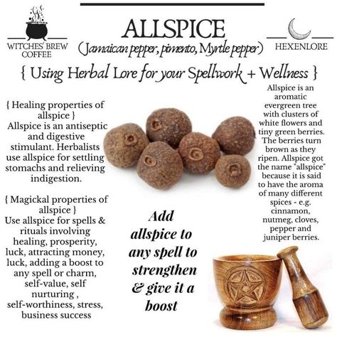 All Spice Magical Properties, Wisdom Spell, Ritual Cafe, Baneful Herbs, Alchemy Recipes, Grimoire Art, Spice Magic, Hoodoo Witch, Herbal Properties