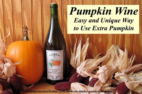 How to make pumpkin wine. Classic spices and a little creativity come together in an usual pumpkin recipe that's sure to be a conversation starter. Wine Pumpkin, Jello Shots Recipes, Syrups For Drinks, Mead Recipes, Making Hard Cider, Pineapple Wine, Wine Making Recipes, Homemade Wine Recipes, Drink Business