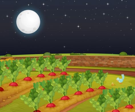 Carrot farm scene with big moon at night... | Free Vector #Freepik #freevector #cartoon #bird #farm #grass Farm At Night, Carrot Farm, Moon At Night, Cartoon Bird, Big Moon, Night Moon, Farm Scene, Graphic Design Layouts, Wooden Crate