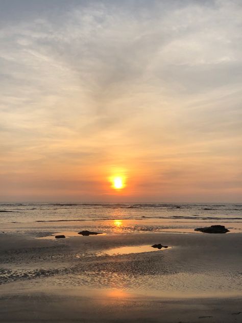 #alibaug #sunset #nature #naturelover #beach Mirror Me, Sunset Nature, Botanical Illustrations, Botanical Illustration, Nature Lover, Celestial Bodies, India, Illustrations, Mirror