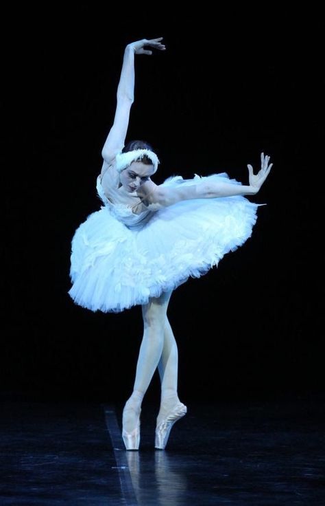 Ulyana Lopatkina, Swan Lake Ballet, Ballet Images, Ballet Pictures, Ballet Beauty, Ballet Poses, Ballet Inspiration, Russian Ballet, The Ballerina