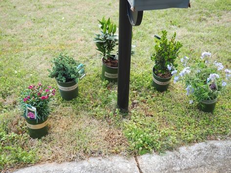 how to boost your mailbox curb appeal — Autumn all along Mailbox Landscaping Perennial, Plants Around Mailbox Curb Appeal, Mail Box Landscaping Curb Appeal, Landscape Around Mailbox Curb Appeal, Planting Around Mailbox Front Yards, Landscaping Mailbox Area, Mailbox Placement, Plants Around Mailbox Ideas, Simple Mailbox Landscaping