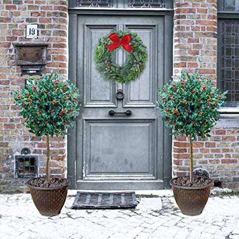 Holly Trees, Front Door Plants, Holly Bush, Holly Decorations, Gold Planter, Kerb Appeal, Holly Tree, Christmas Porch Decor, House Front Door