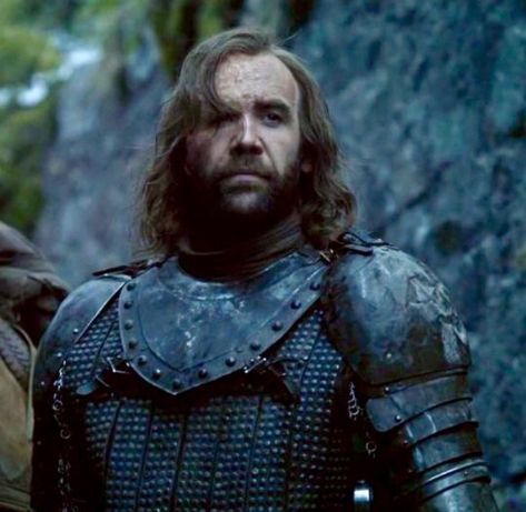 Sansa Sandor, Hound Game Of Thrones, Istp Characters, Sandor Clegane, Burly Men, Rory Mccann, Game Of Thrones Tv, Nikolaj Coster Waldau, The Hound