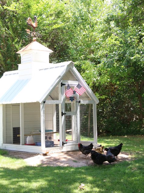 Walk In Chicken Coop, Cute Chicken Coops, Chicken Tractors, Chicken Coop Run, Diy Chicken Coop Plans, Crazy Chicken Lady, Chicken Garden, Chicken Coop Designs, Cute Chickens