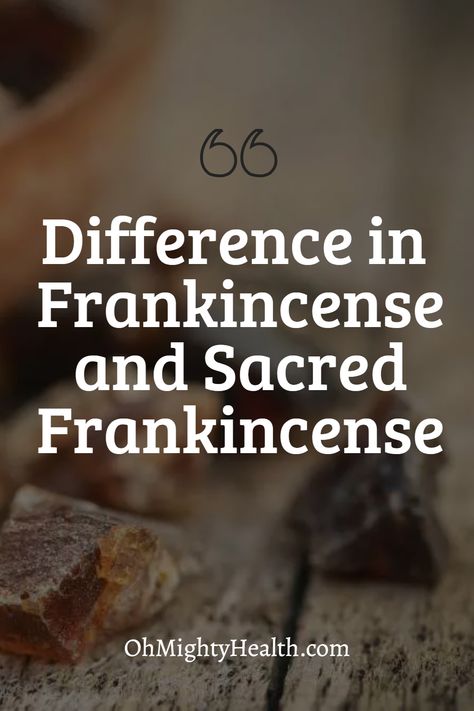 Frankincense is an aromatic resin obtained from trees of the genus Boswellia. It has been used for thousands of years in religious ceremonies, traditional medicine, and perfumery. The resin is harvested by making incisions in the tree bark, allowing the sap to bleed out and harden into “tears.” Once collected, the resin can be burned as incense or steam-distilled to produce essential oil. In this article we will look at the difference in frankincense and sacred frankincense. Frankincense Resin, Frankincense Oil, Religious Ceremony, Resin Uses, Ayurvedic Medicine, Traditional Medicine, Tree Bark, Natural Health, Incense