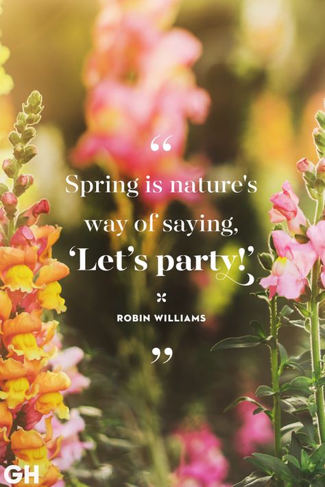 Spring Quotes Robin Williams Nature Party Spring Has Sprung Quotes, Quotes About Spring, The Most Beautiful Quotes, Most Beautiful Quotes, Spring Quote, Sunday Quotes Funny, Nature Party, Wallpaper Macbook, Spring Quotes