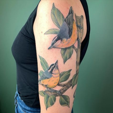 Taylor Hudson 🐇🌙 on Instagram: "Nuthatches hanging out together 💕 Colour in the birds is fresh, rest is healed. Thank you Helen!! [Pictured is a colour tattoo on the upper arm of two nuthatch birds perched on a branch. One bird on the lower left looking up at the other on the upper right that is hanging on the side of a large branch looking downwards. There are leaves surrounding the birds.]" Nuthatch Tattoo, Taylor Hudson, Nuthatch Bird, Nuthatches, Colour Tattoo, Branch Tattoo, Upper Arm Tattoos, Bird On Branch, Upper Arms