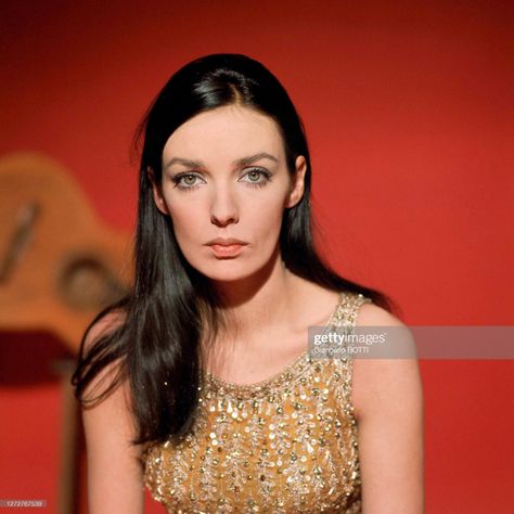 News Photo : Portrait de Marie Laforêt, en 1966. Golden Eyes, French Actress, 1960s Fashion, Perfect Woman, Still Image, Inspirational Women, Picture Gallery, Getty Images, Vintage Ladies