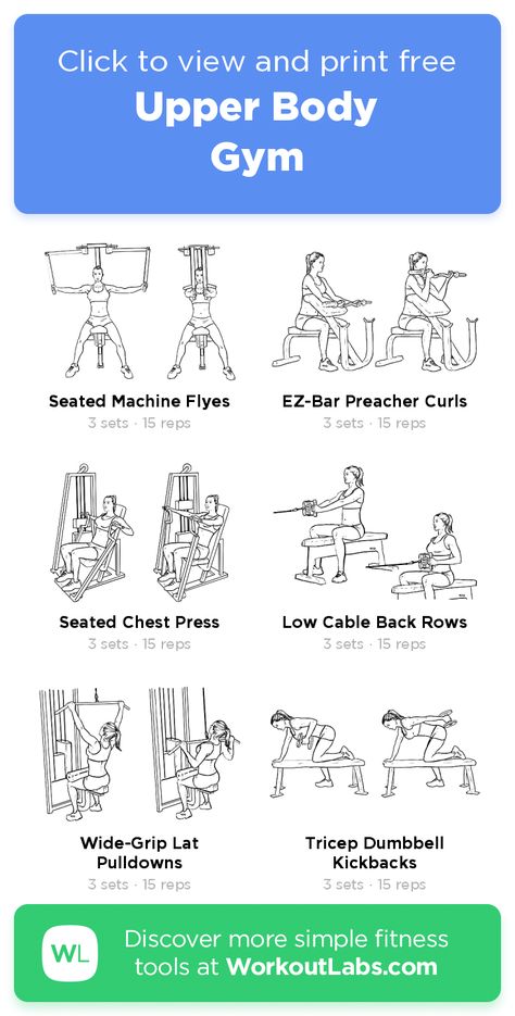 Upper Body | Gym – click to view and print this illustrated exercise plan created with #WorkoutLabsFit Good Arm Workouts Gym Machines, Upper Body Workout Equipment, Weight Machine Arm Workout For Women, Beginner Gym Arm Workout, Equipment Workout Plan For Women, Weight Machine Workouts For Women Gym Strength Training, Workout Plan Upper Body Gym, Workout Plans For The Gym For Beginners, Gym Program For Women Weight Training