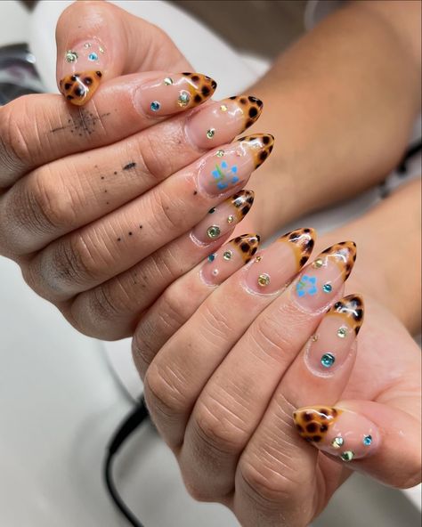 tortoise shell is actually to die for😫😫😫 - - - #utahnails #utahnailtech #tortishell #nailinspo #nailart #tammytaylornails #luminarynailsystems #nailsnailsnails #nailsofinstagram Turtle Shell Pattern, Pattern Nails, Nailinspo Nailart, Tammy Taylor Nails, Turtle Pattern, Turtle Shell, Shell Pattern, Nail Patterns, Nail Tech