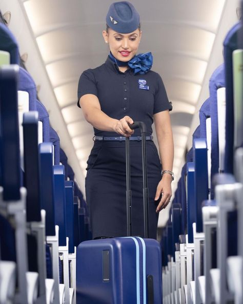 Indigo Cabin Crew Interview for Freshers in July 2024 [Walk-In-Interview] https://aviationdreamer.com/indigo-cabin-crew-interview/ #indigocabincrew #cabincrewjob #cabincrewjobs #airhostess #airhostesstraining #cabincrew #cabincrewtraining #aviation #aviationlovers Indigo Cabin Crew, Cabin Crew Interview, Cabin Crew Jobs, Air Hostess Training, Flight Crew, Cabin Crew, Dream Board, July 4, The Dreamers