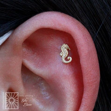 Floating Helix Piercing, Ear Styling, Ear Peircings, Hey Siri, Helix Piercing Jewelry, Ear Style, Piercing Ideas, Helix Piercing, Ear Piercing