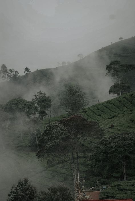 Munnar Aesthetic, Munnar Photography Travel, Ayyappa Swami, Trip Vibe, Background Architecture, Travel India Beautiful Places, Clouds Wallpaper Iphone, Fireworks Photography, Mountains Aesthetic