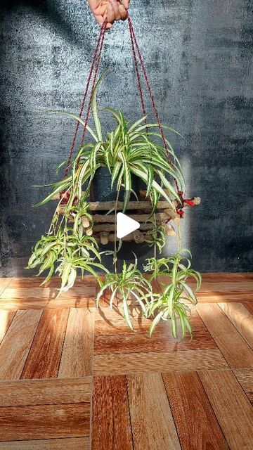 Diy Wooden Hanging Planter, Dry Tree Branches Decoration Diy, How To Make Hanging Plant Holder, Pot Hanging Ideas, Hanging Planters Diy, Hanging Plant Decor Ideas, Macrame Hanging Plants, Diy Hanging Planters, Hanging Plant Decor