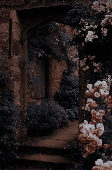 Medieval Aesthetic, Fairytale Aesthetic, Royalty Aesthetic, Midnight Garden, Dark Academia Aesthetic, Fantasy Aesthetic, Academia Aesthetic, Brown Aesthetic, Aesthetic Images