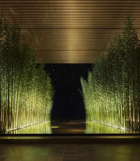 Blitz Design, Terrasse Design, Edition Hotel, Landscape Lighting Design, Bamboo Garden, Backyard Lighting, Interior Garden, Hotel Design, Outdoor Landscaping