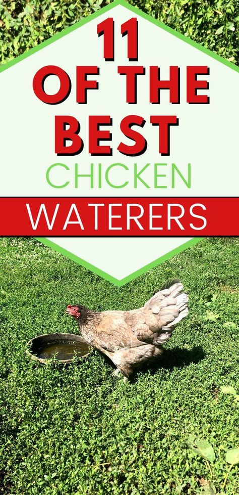 Chicken Coop Feed And Water Ideas, Watering Ideas For Chickens, Chicken Waterers Ideas, Water For Chickens Diy, Chicken Watering Ideas, Water Fountain For Chickens, Water Chickens Ideas, Water For Chicken Coop, Chicken Waterer Ideas