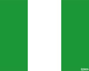 Flag of Nigeria is a nice PowerPoint template with Nigeria flag design as background Nysc Nigeria Logo, Flag Of Nigeria, World Cup Logo, Nigerian Flag, Dear Prudence, World Cup 2010, Nigeria Flag, Free Powerpoint Templates, African Flag