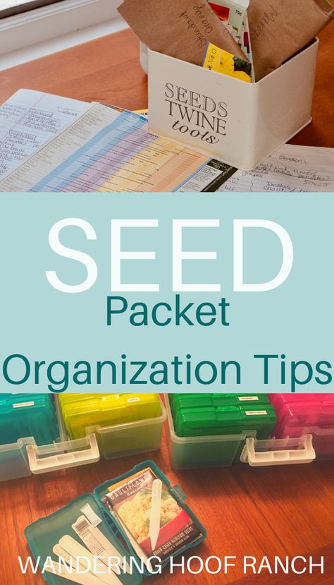 Packet Organization, Organize Seeds, Parsley Root, Spring Vegetable Garden, Garden Preparation, Vege Garden, Garden Planning Layout, Garden Organization, Tips For Organizing