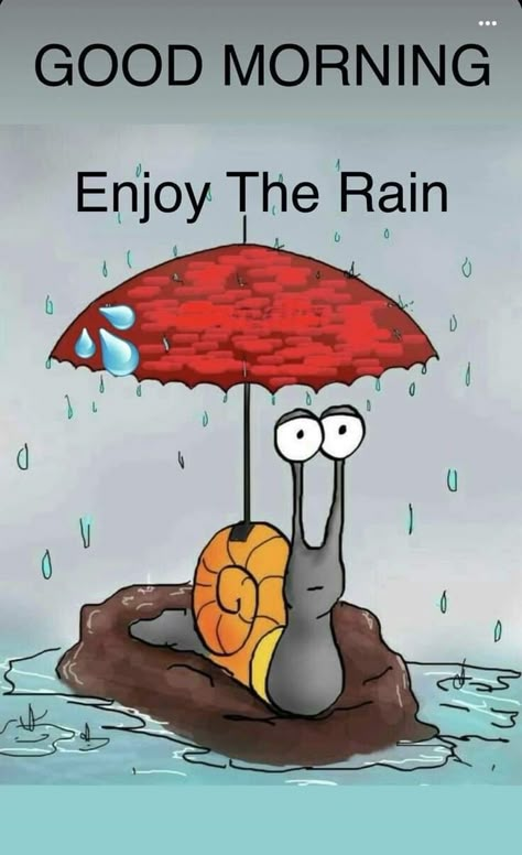 Rainy Morning Quotes, Funny Good Morning Wishes, Rainy Good Morning, Very Good Morning Images, Rainy Day Quotes, Good Morning Wishes Gif, Funny Day Quotes, Good Morning Sweetheart Quotes, Happy Morning Quotes