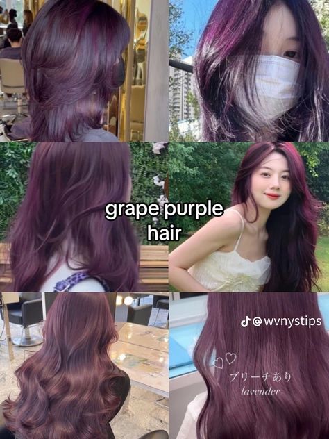 Dark Violet Hair, Bleach Hair Color, Red Purple Hair, Pelo Color Vino, Hidden Hair Color, Violet Hair Colors, Korean Hair Color, Violet Hair, Pretty Hair Color