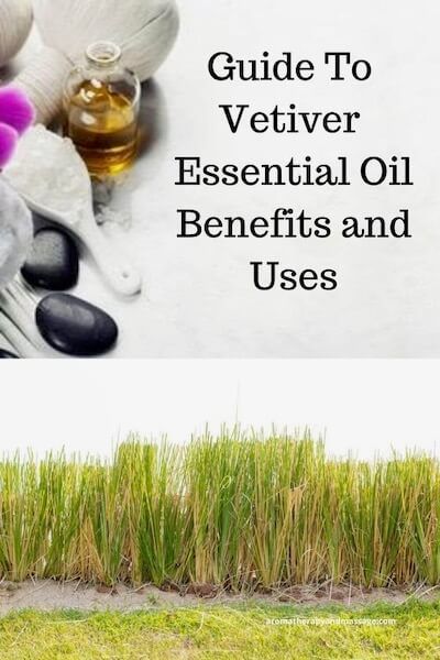 Guide To Vetiver Essential Oil Healthy Life Tips, Basil Essential Oil, Diy Essential Oil Recipes, Vetiver Essential Oil, Jasmine Essential Oil, Essential Oil Diffuser Recipes, Oil Diffuser Recipes, Chamomile Essential Oil, Aromatherapy Blends