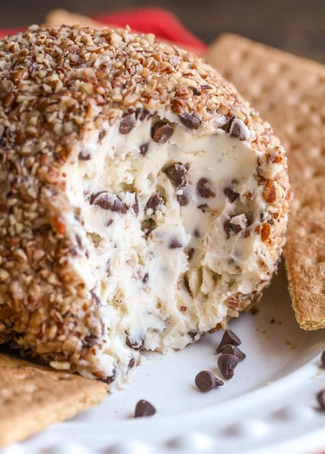 Delish Chocolate Chip Cheese Ball is a cool, creamy treat filled with mini chocolate chips and covered in chopped pecans! Chocolate Chip Cheese Ball, Cheese Logs, Dessert Cheese Ball, Thanksgiving Apps, Chocolate Chip Dip, Appetizers Cheese, Feast Mode, Nice Recipes, Sweet Dips