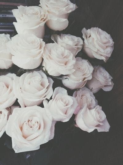 White Rose, White Roses, We Heart It, Roses, Lost, White