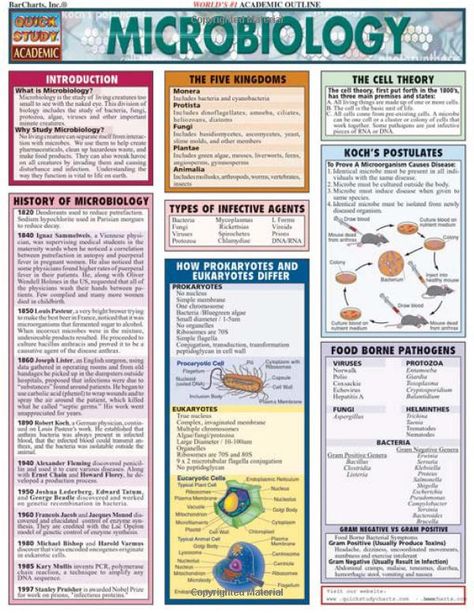 Microbiology (Quickstudy: Academic): 9781572225091: Medicine & Health Science Books @ Amazon.com Microbiology Notes, Microbiology Study, Cell Theory, Medical Laboratory Science, Biology Lessons, Nursing School Studying, Nursing School Tips, Nursing School Notes, Biology Notes