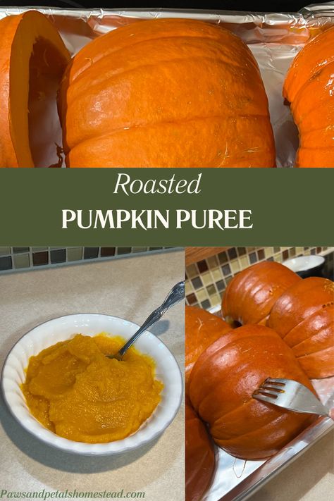 Learn how to roast a pumpkin for homemade pumpkin puree. This is perfect for all your fall recipes from pies, breads, cupcakes and muffins. Roast Whole Pumpkin, Fall Yummies, Keto Bakery, Thanksgiving Deals, Puree Recipes, Pumpkin Puree Recipes, Pumpkin Delight, Savory Pumpkin Recipes, Spiced Drinks