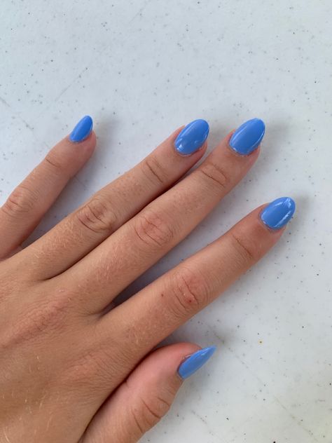 Blue Round Acrylic Nails, Round Shaped Acrylic Nails, Oval Shape Acrylic Nails, Blue Almond Shaped Acrylic Nails, Blue Nails Round Shape, Short Blue Acrylic Nails Almond, Nails Oval Blue, Blue Nails Oval Shape, Oval Acrylics