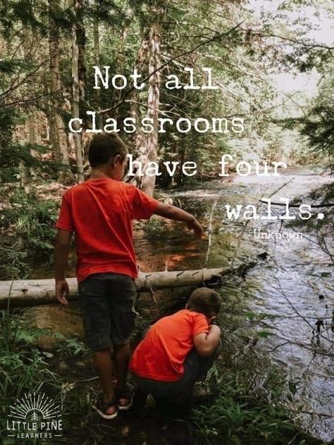 Homeschool Quotes Inspiration, Unschooling Quotes, Maria Montessori Quotes, Early Childhood Quotes, Preschool Quotes, Nature Homeschool, Risky Play, Mr Rodgers, School Social Media