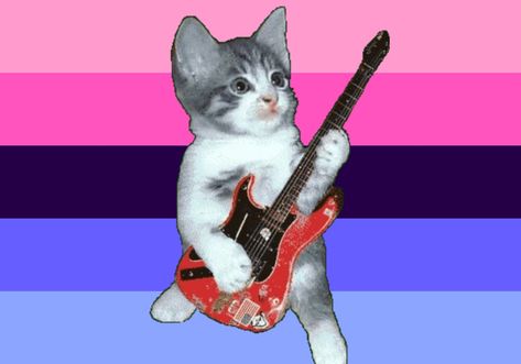 pfp omnisexual cat guitar Non Romantic, Lgbtq Funny, Writing Inspiration Prompts, Taste The Rainbow, Cool Wallpapers Art, Cute Memes, Silly Cats, Kids Shows, Pride Flags