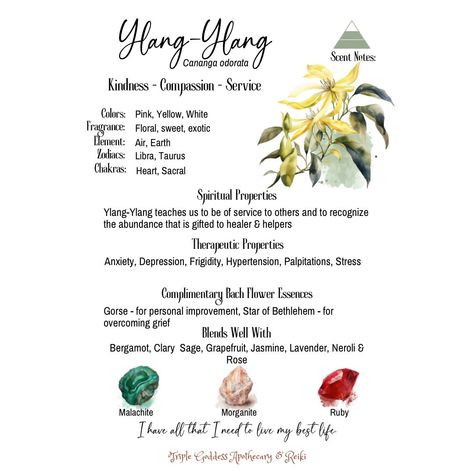 Ylang ylang is an essential oil I like to use in my magical and mundane life. Learn more at Patreon: https://patreon.com/TripleGoddessApothecaryandReiki
Website: https://www.triplegoddessapothecaryreiki.com
#triplegoddessapothecaryandreiki #crystals  #witchcraft #pagan #tarot #classes #runes #reiki #herbs Essential Oil Witchcraft, Ylang Ylang Benefits, Mundane Magic, Oil Witchcraft, Crystals Witchcraft, Mundane Life, Ylang Ylang Essential Oil, Magical Herbs, Aromatherapy Jewelry