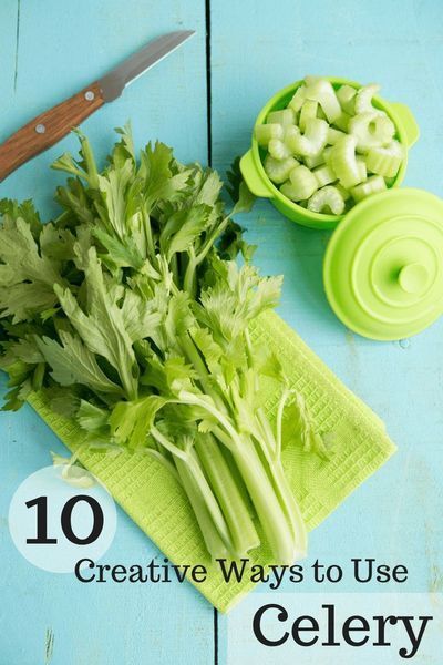 10 creative ways to use celery! Celery is nutrient-dense and can be used so many ways, it's practically a superhero in the produce world! Learn more at The Produce Moms! Celery Recipes, Healthy Nutrition Plan, Baking Soda Beauty Uses, Minced Meat, Gone Forever, Proper Nutrition, Nutrient Dense, Healthy Nutrition, Best Diets