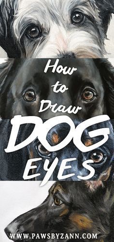 How To Paint Animal Eyes, How To Paint Dog Eyes Acrylic, Dogs Eyes Drawing, Dog Eyes Painting, How To Paint Your Dog, Drawing Dog Eyes, Painting Dog Eyes, How To Paint Dogs Acrylic, Dog Painting Tutorial