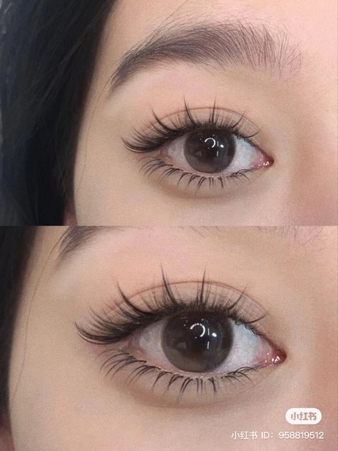 Eyelash Extension Styles, Manhua Lashes, Cat Eyelashes, Extension Styles, Natural Fake Eyelashes, Lashes Fake Eyelashes, Asian Makeup Looks, Lash Extensions Makeup, Beauty Hacks Nails