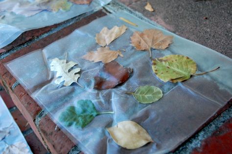 C, collage, senses, nature, N, leaf, L Clear Contact Paper Crafts, Contact Paper Crafts, Autumn Preschool Theme, Autumn Collage, Leave Art, Leaf Collage, Nature Collage, Sticky Paper, Collage Art Projects