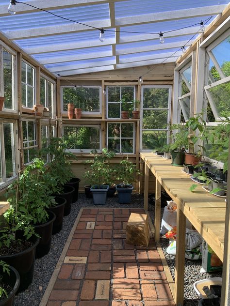 Just take a photo and share it with us! Windows Greenhouse, Gardening Beds, Dream Greenhouse, Designer Garden, Garden Shed Interiors, Window Greenhouse, House Gardening, Patio Gardens, Reclaimed Windows