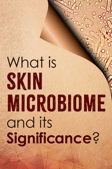 Research suggests that the diverse and delicate ecosystem of microorganisms residing on our skin plays a crucial role in maintaining skin health & overall well-being.  / The Ayurveda Experience What Is Skin, The Ayurveda Experience, Skin Microbiome, Youthful Skin, Ancient Wisdom, Ecosystem, Skin Health, Ayurveda, Healthy Skin