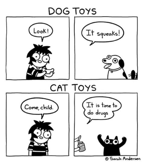 Sarah's Scribbles, Sarah Andersen, Sarah Anderson, Online Comics, Cat Comics, Cat Stuff, Funny Animal Memes, Cute Memes, Funny Cute Cats